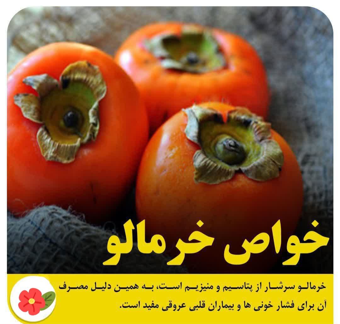 خواص خرمالو